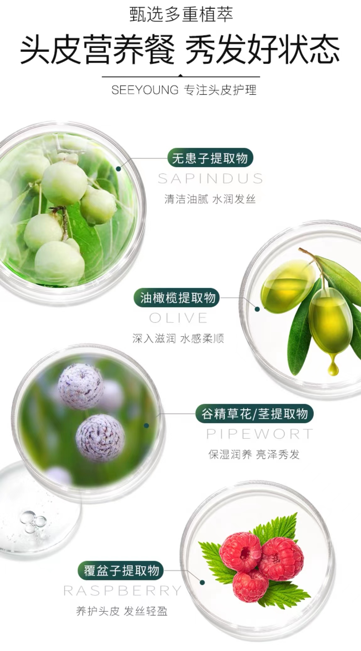 微信图片_202311241505331.jpg